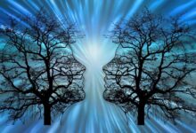 Astrologie_Psychologie_boom