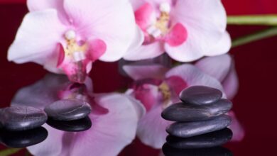 geneeskrachtige-stenen-bloem