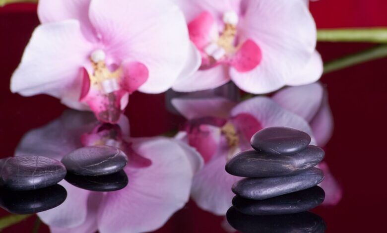 geneeskrachtige-stenen-bloem