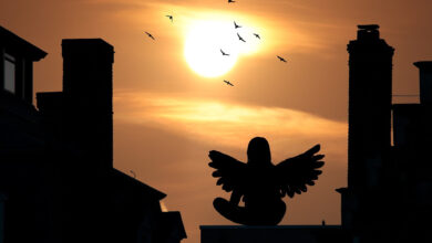 Beschermengelen Ontmoeten: Een Spirituele Reis beschermengelen