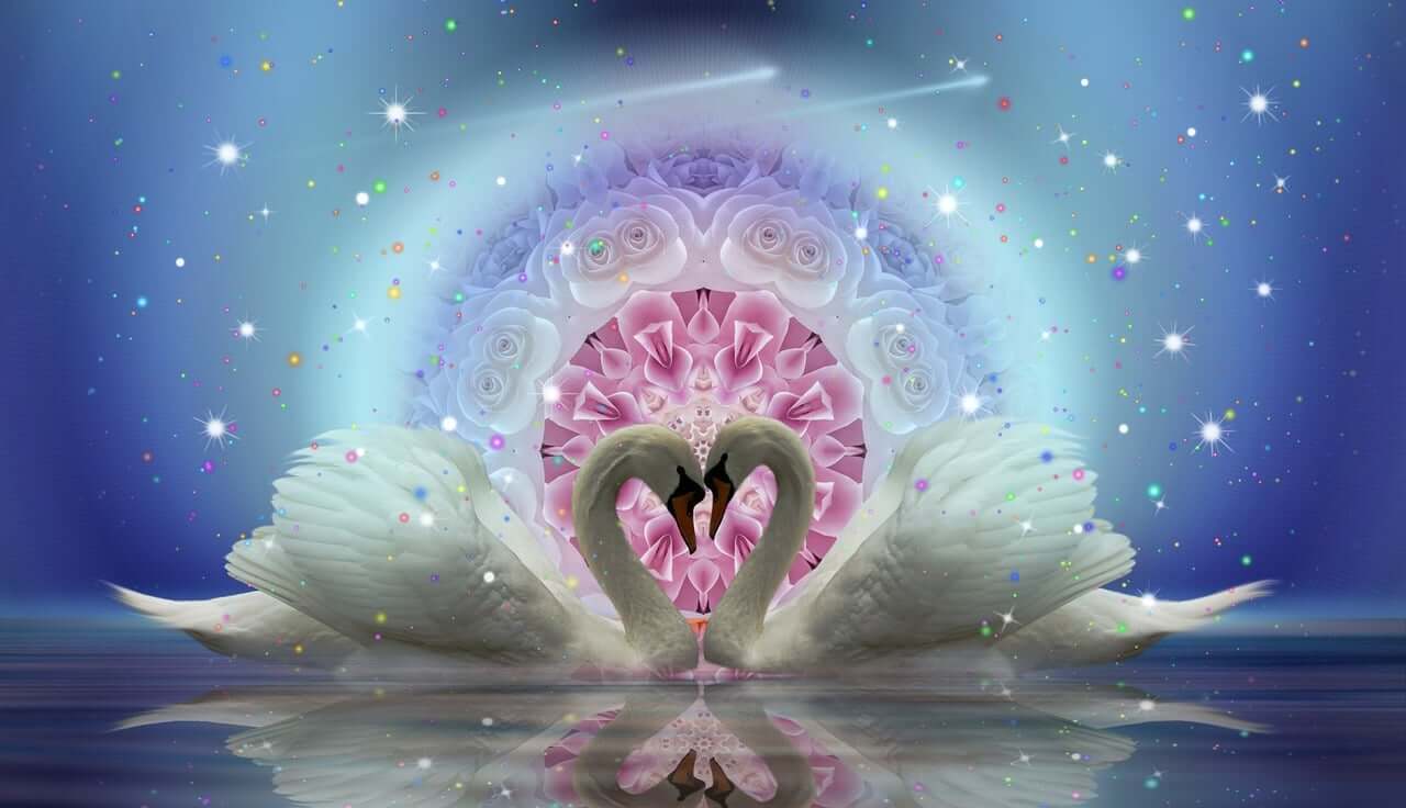 Krachtdieren: Spirituele Band met de Natuur krachtdieren-spiritueel