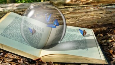 De Magie van de Kristallen Bol kristallen-bol